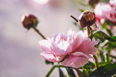 Similar image 21517720