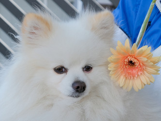 Similar image 21518002