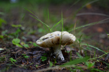 Similar image 21518009