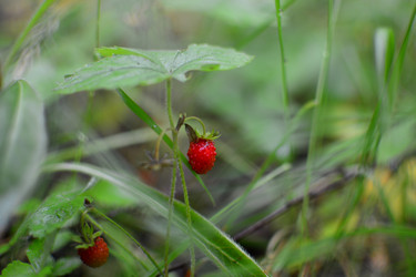 Similar image 21518010