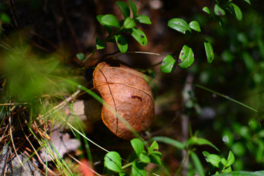 Similar image 21518011