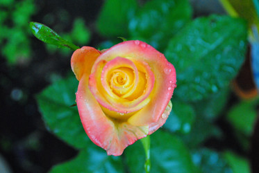 Similar image 21518012