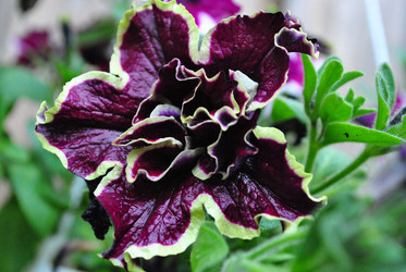 Similar image 21518015