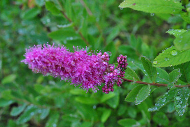 Similar image 21518016