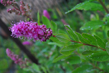 Similar image 21518017