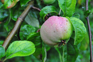 Similar image 21518018