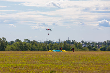 Similar image 21519300