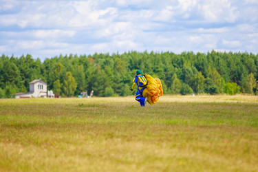 Similar image 21519315