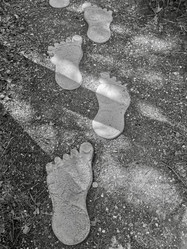 Similar image 21518431