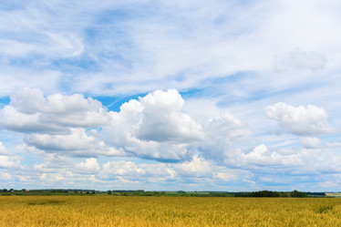 Similar image 21517745