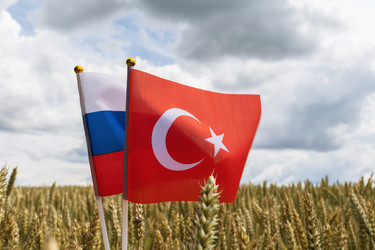 Similar image 21517746