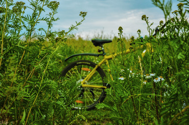 Similar image 21518034