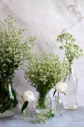 Similar image 21518049