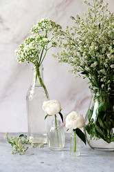 Similar image 21518050