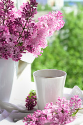 Similar image 21518052