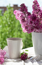 Similar image 21518053