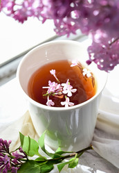 Similar image 21518054