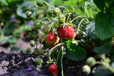 Similar image 21518067