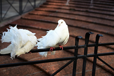 Similar image 21518068