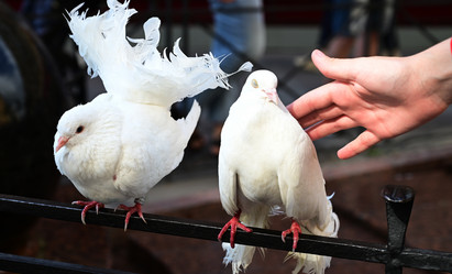 Similar image 21518069