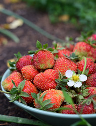 Similar image 21518070