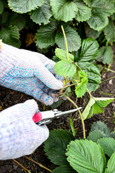 Similar image 21518078