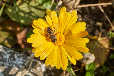 Similar image 21518091