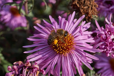 Similar image 21518092