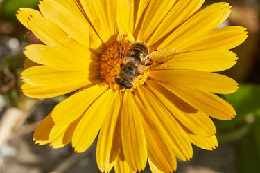 Similar image 21518093