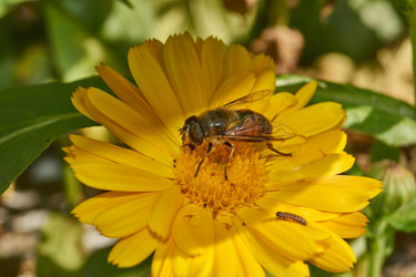 Similar image 21519046