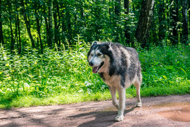 Similar image 21519902