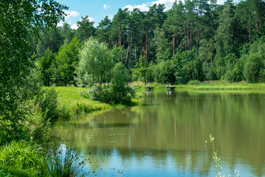 Similar image 21519903