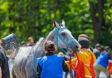 Similar image 21519329