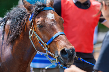 Similar image 21519330