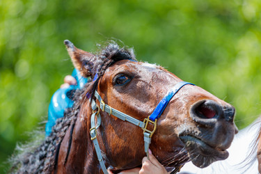 Similar image 21519331