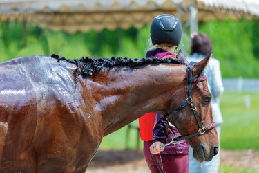 Similar image 21519332