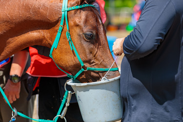 Similar image 21519334