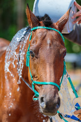 Similar image 21519336