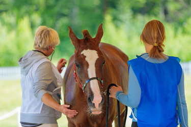 Similar image 21519337