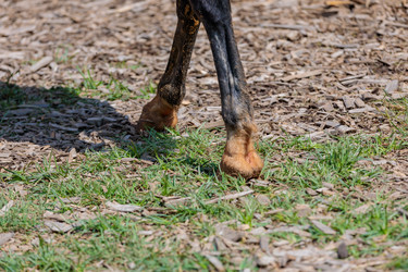 Similar image 21519338