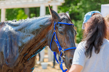 Similar image 21519340