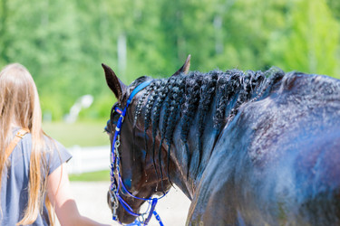 Similar image 21519341