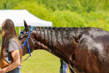 Similar image 21519342