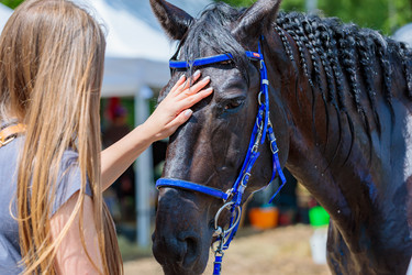 Similar image 21519344