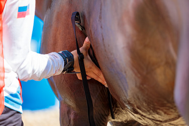 Similar image 21519345