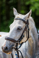 Similar image 21519348