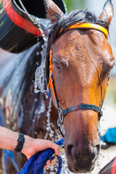 Similar image 21519351