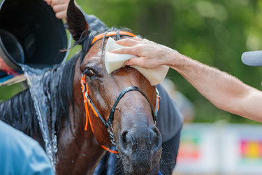 Similar image 21519352