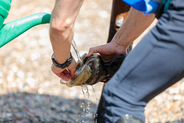 Similar image 21519353