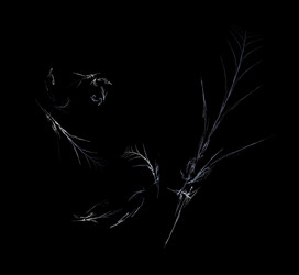 Similar image 21521813